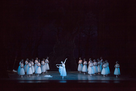 7064_DG_GISELLE_Broward_Preformance_Miami_City_Ballet_FL_IMG_4208
