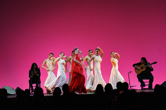 20210417_Siudy_ flamenco_archt_DSC9891