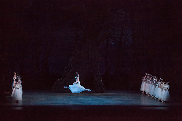 7064_DG_GISELLE_Broward_Preformance_Miami_City_Ballet_FL_IMG_4321
