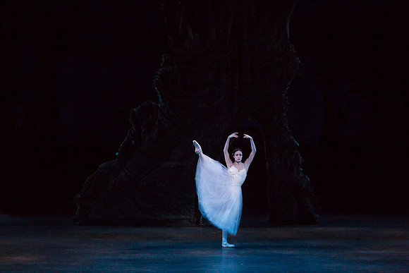7064_DG_GISELLE_Broward_Preformance_Miami_City_Ballet_FL_AL1B3627