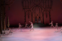 20141229_Nutcracker_WPB_Hoops_CG3P1350