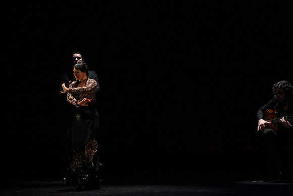 20140227_Flamenco_Festival_1_9C7C0142