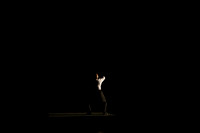 20170225_Alvin_Ailey_r.Evolution_Dream_PR_Wide_9C7C2085