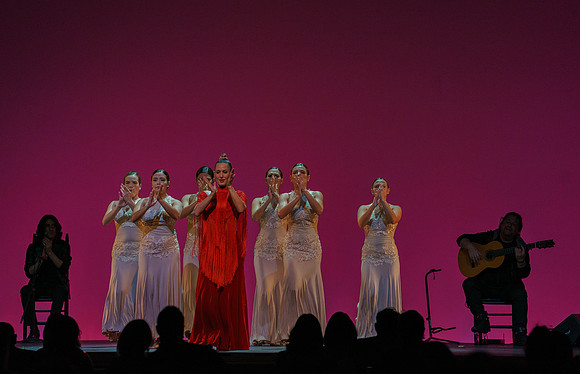 20210417_Siudy_ flamenco_archt_DSC9928
