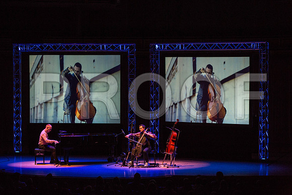 20150203_The_Piano_Guys_Arsht_9C7C1497
