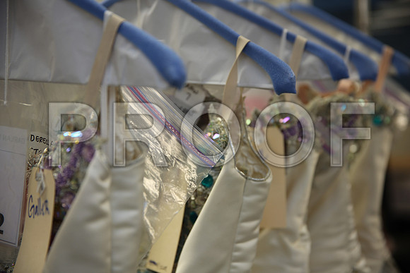 20150901_Fitting_Swan_Lake_Wardrobe_IMG_6263