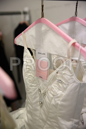 20150901_Fitting_Swan_Lake_Wardrobe_IMG_6414