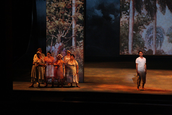 Before Night Falls Florida Grand Opera by Jorge Martin with Dolores M. Koch