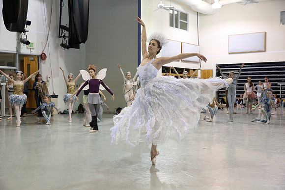 20160310_Midsummer_Act1_Studio_IMG_1376