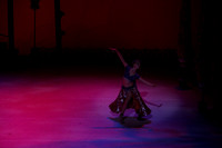 20141229_Nutcracker_WPB_Arabian_CG3P0831