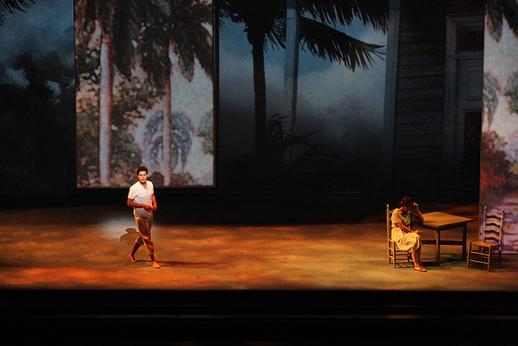 Before Night Falls Florida Grand Opera by Jorge Martin with Dolores M. Koch