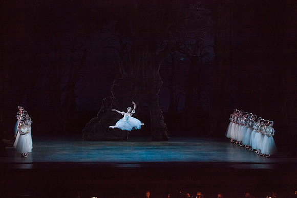 7064_DG_GISELLE_Broward_Preformance_Miami_City_Ballet_FL_IMG_4319