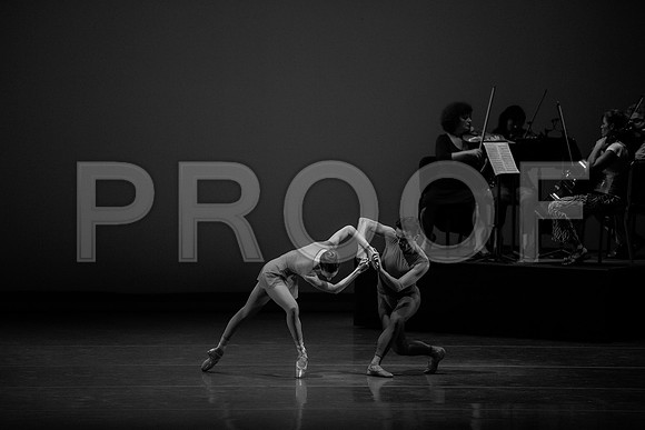 20140109_IMG_2212 BW