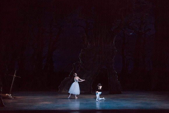 7064_DG_GISELLE_Broward_Preformance_Miami_City_Ballet_FL_IMG_4485