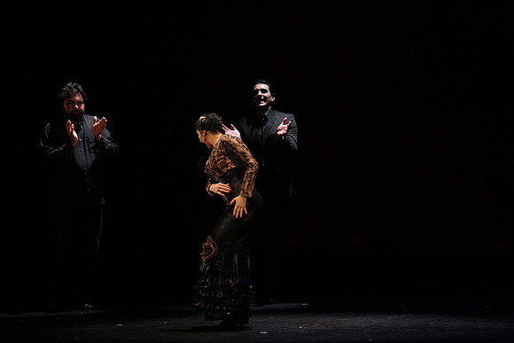 20140227_Flamenco_Festival_1_9C7C0088