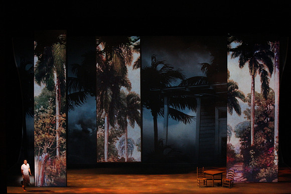 Before Night Falls Florida Grand Opera by Jorge Martin with Dolores M. Koch