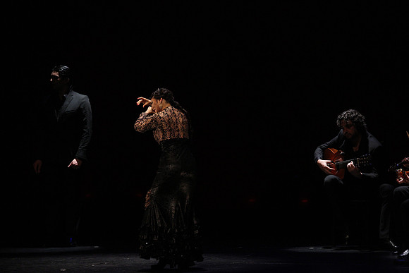 20140227_Flamenco_Festival_1_9C7C0112
