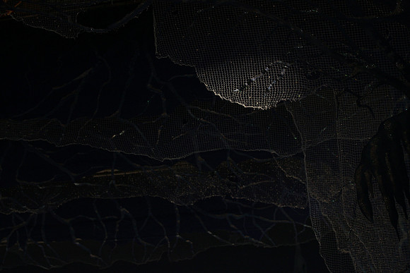 20130328_file002019