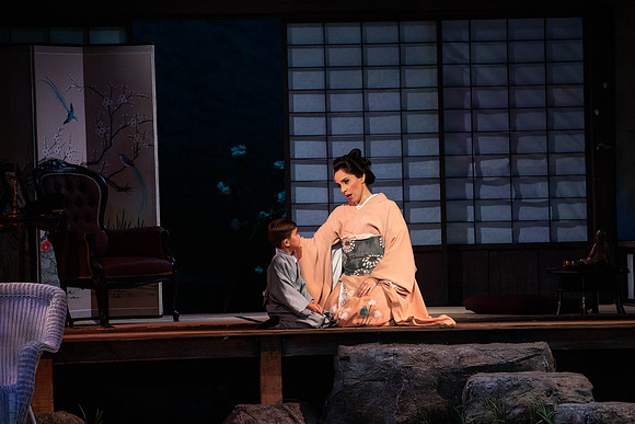 20200116_Madana_Butterfly_DR_173A0190