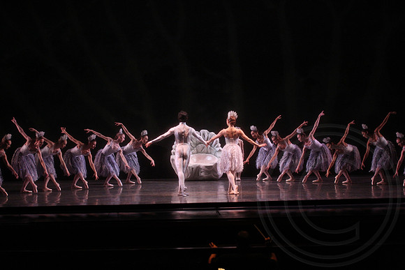 20160317_Midsummer_Nights_Dream_DR_Closeup_IMG_6293
