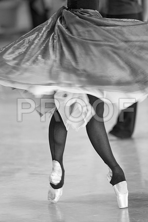 7023_DG_Rehersal_IN_THE_NIGHT_Villella_Sosennko_Renno_Miami_City_Ballet_FL_AL1B8002 copy