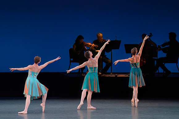 20240210_untitled20240210_Winter_Mix_Paganini_in_Play_MCB_DSC2745