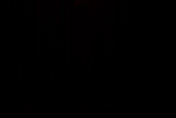 20121412_AL1B1571