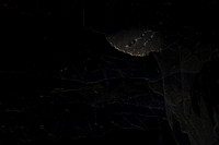 20130328_file002020