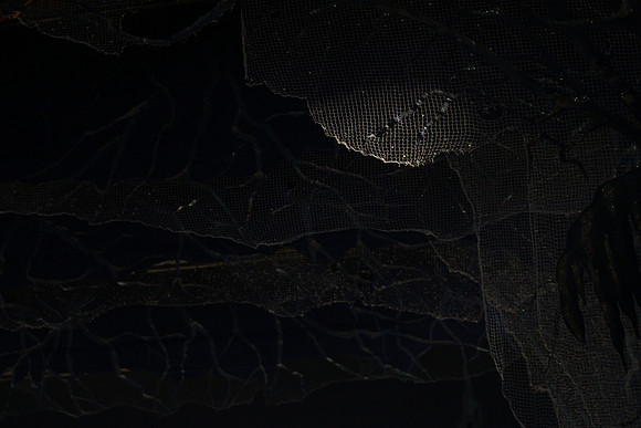 20130328_file002020