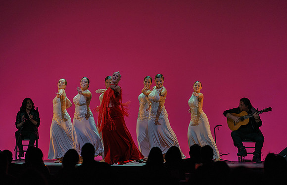 20210417_Siudy_ flamenco_archt_DSC9902