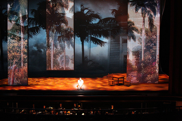 Before Night Falls Florida Grand Opera by Jorge Martin with Dolores M. Koch