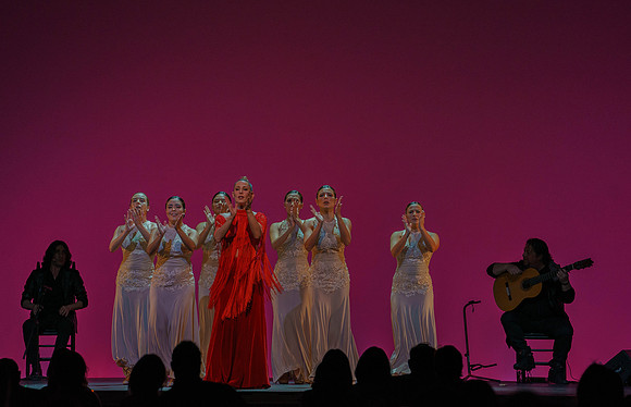 20210417_Siudy_ flamenco_archt_DSC9919