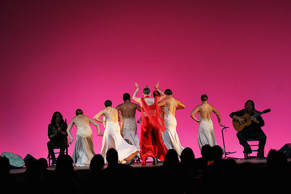 20210417_Siudy_ flamenco_archt_DSC9888