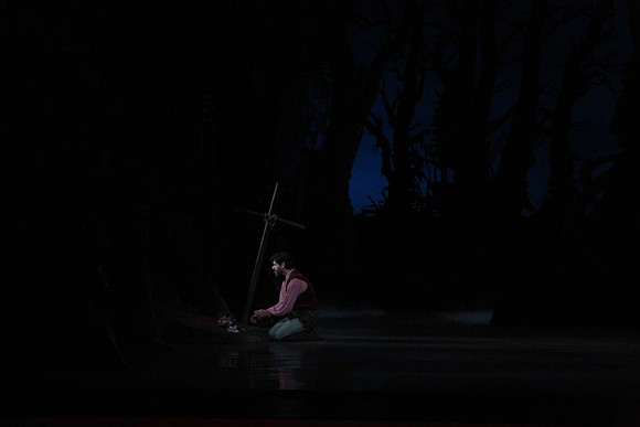 20161020_MCB_Giselle_Act2_DRNN_Arsht_9C7C0036