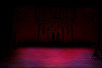 20141229_Nutcracker_WPB_Arabian_CG3P0813
