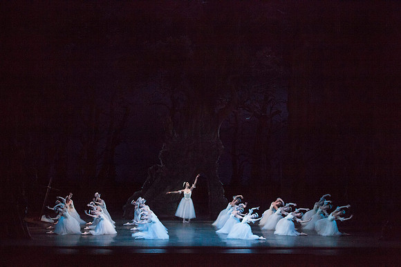 7064_DG_GISELLE_Broward_Preformance_Miami_City_Ballet_FL_IMG_4172