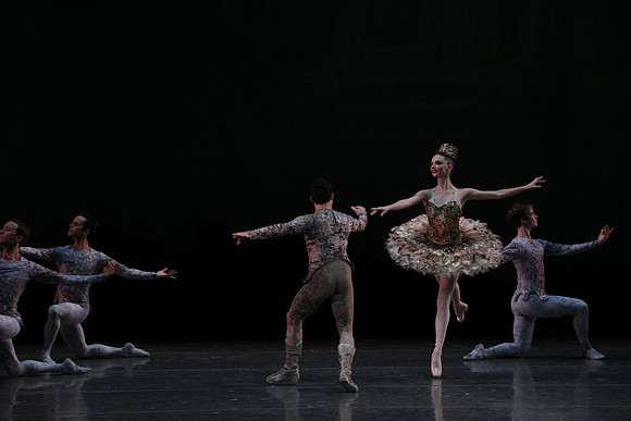 20160318_Midsummer_Night's_Dream_PR_Closeup_G3P0068