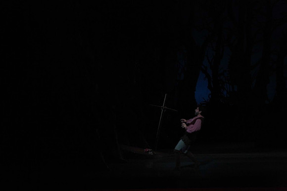 20161020_MCB_Giselle_Act2_DRNN_Arsht_9C7C0070