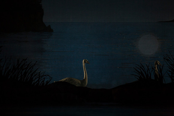 20151022_MCB_Swan_Lake_DR_Arsht_IMG_7612