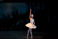 20151022_MCB_Swan_Lake_DR_Arsht_IMG_7688