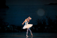 20151022_MCB_Swan_Lake_DR_Arsht_IMG_7670-NEED REPLACEMENT