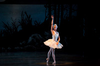 20151022_MCB_Swan_Lake_DR_Arsht_IMG_7689