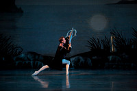 20151022_MCB_Swan_Lake_DR_Arsht_IMG_7653-NEED REPLACEMENT