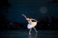 20151022_MCB_Swan_Lake_DR_Arsht_IMG_7668