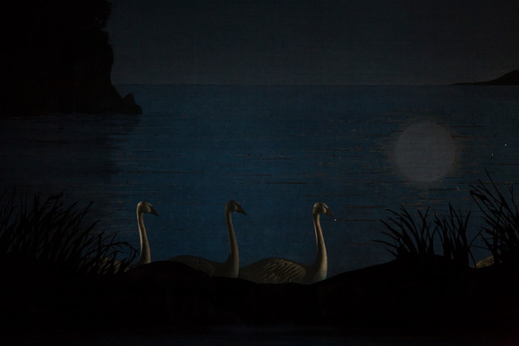 20151022_MCB_Swan_Lake_DR_Arsht_IMG_7585