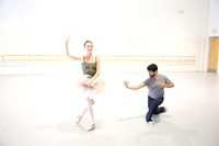 20150618_MCB_Swan_Lake_Studio_9C7C0995