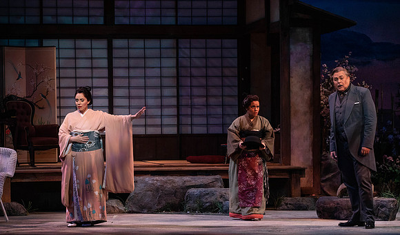 20200116_Madana_Butterfly_DR_173A0079