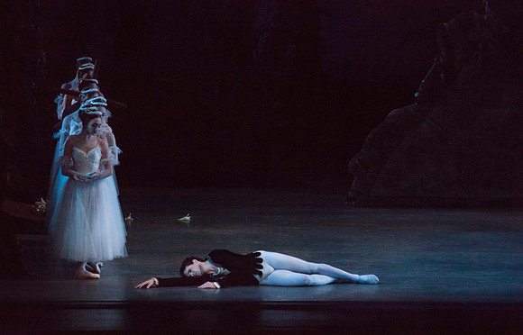 7064_DG_GISELLE_Broward_Preformance_Miami_City_Ballet_FL_IMG_4851