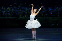 Swan_Lake_2_Cast_Jennifer_MCB_0001