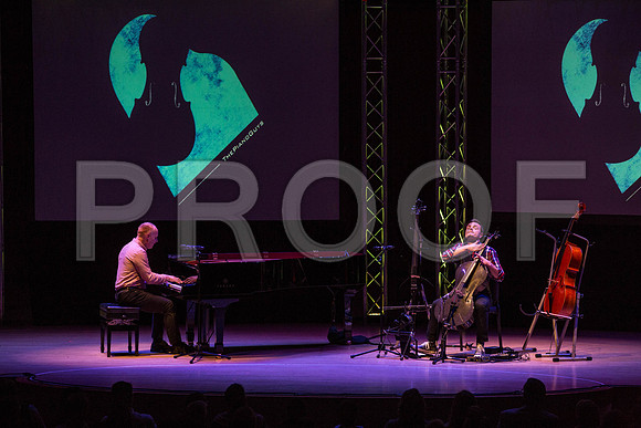 20150203_The_Piano_Guys_Arsht_9C7C1337